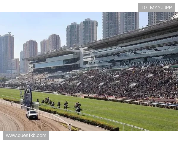 人人体育网娱乐为用户提供便捷的赛事投注和互动交流平台实现娱乐与投注的完美结合